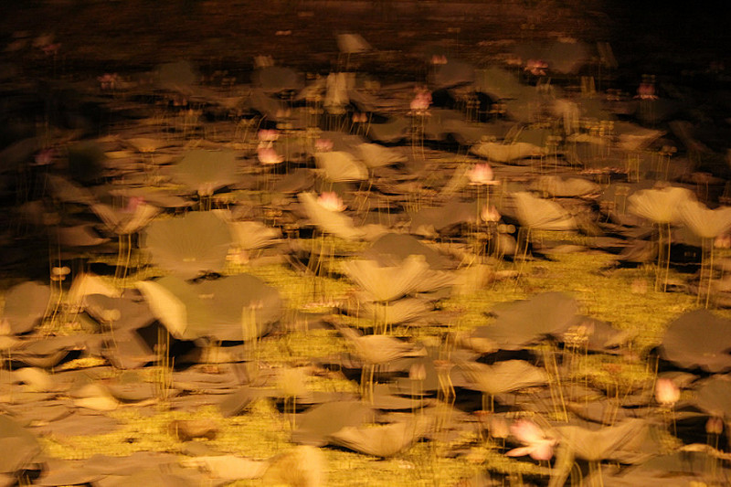 14065397180_33e68ae4a1_c