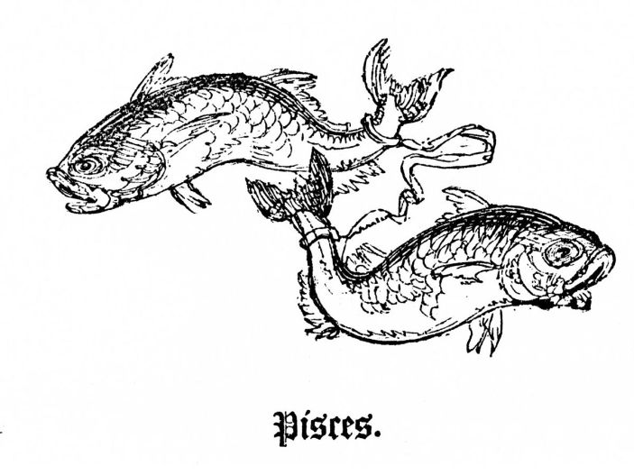 1200px-Pisces-drawing