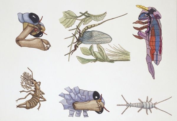 The immortal intellectuals